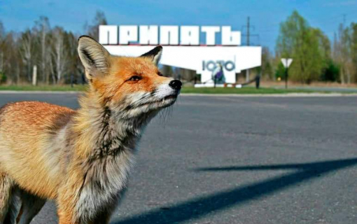 Чорнобиль - найекстравагантніше туристичне місце