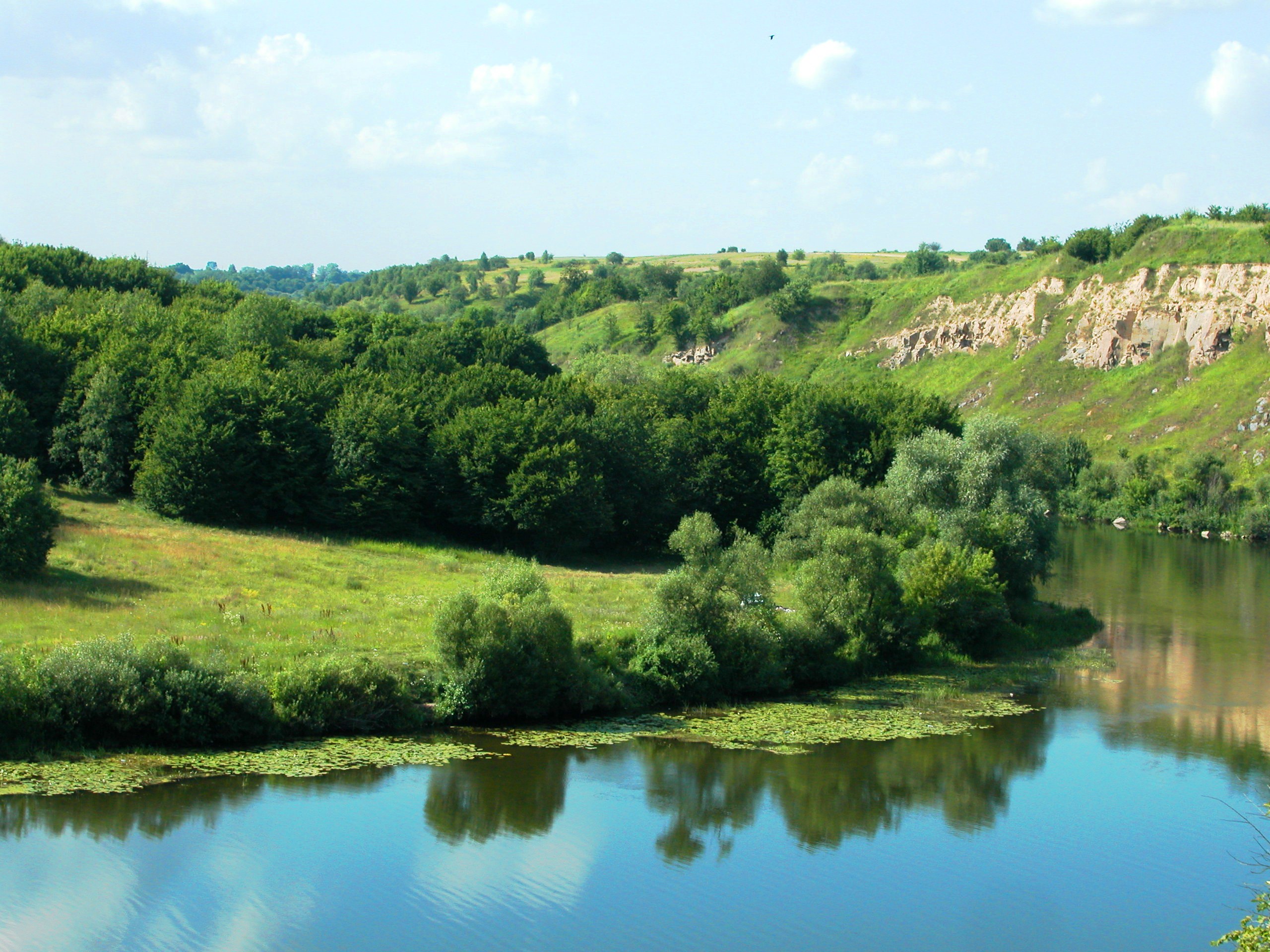 vozviagel1