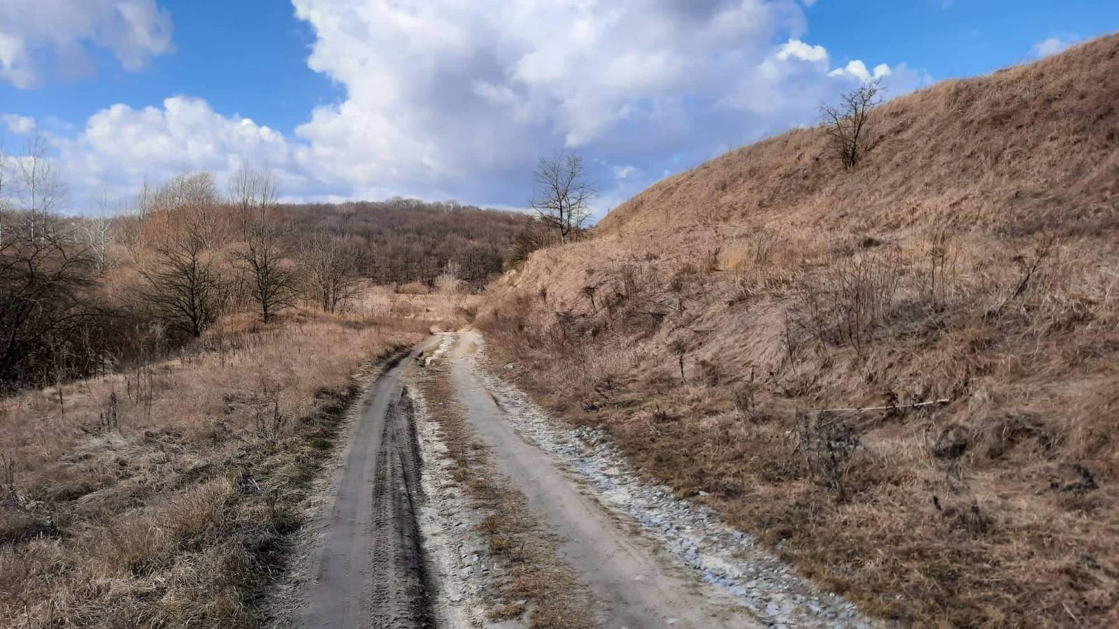 vozviagel2