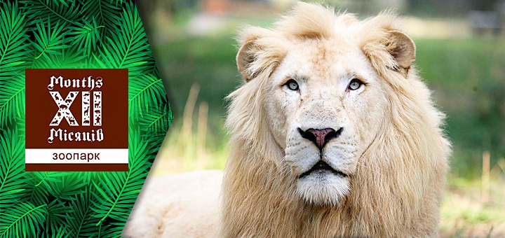 zoo12 1